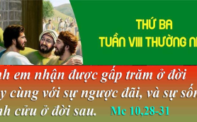 Sự sống vĩnh cửu ở đời sau