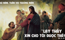 Xin cho tôi nhìn thấy được