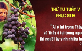 Sinh nhiều hoa trái
