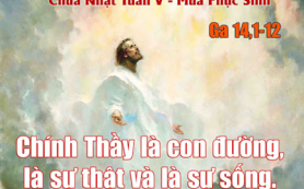 Sự thật và sự sống