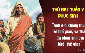 Thầy đã chọn anh em