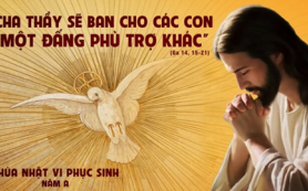 Một Đấng Bảo Trợ khác