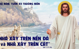 Trên đá trên cát