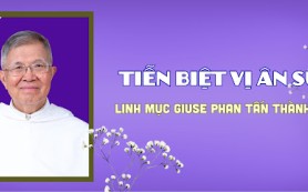 Cha Giuse Phan Tấn Thành: Một đời linh mục đi tìm sự chính xác