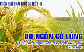 Cứ để cả hai