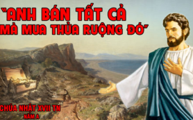 Mua thửa ruộng ấy