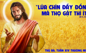Thợ gặt thì ít