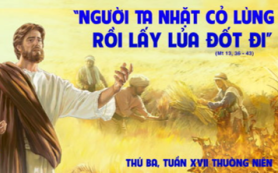 Nhặt cỏ lùng rồi đốt