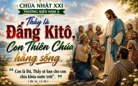 Người ta và chúng ta