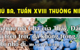 Không trồng sẽ bị nhổ đi