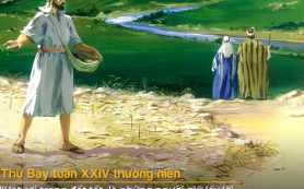 Đất tốt kiên trì sinh hoa trái