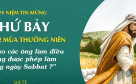 Tại sao không được phép làm?