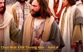 Chinh phục người anh em