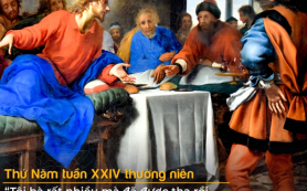 Chị đã yêu mến nhiều