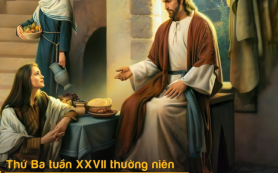 Phần tốt nhất
