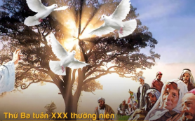 Trở thành cây lớn