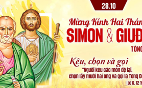 Gọi là tông đồ