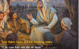 Xin thì được