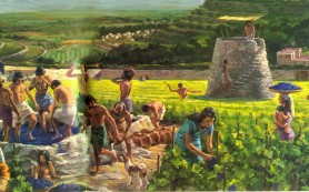 Vườn nho của Chúa