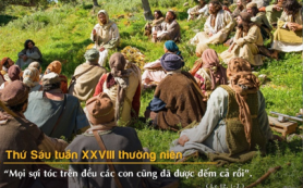 Được đếm cả rồi