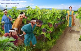 Sứ mạng sinh hoa lợi cho Nước Thiên Chúa