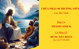 Chúa Nhật 08 Thường Niên C – Đáp Ca & Ca Hiệp Lễ – Lm. Bùi Ninh