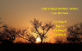 Chúa Nhật 04 Phục Sinh C: Nhập Lễ – Đáp Ca – Dâng Lễ – Hiệp Lễ
