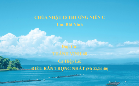 Chúa Nhật 15 Thường Niên C – Đáp Ca & Ca Hiệp Lễ – Lm. Bùi Ninh