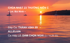Chúa Nhật 23 Thường Niên C – Đáp Ca - Alleluia - Ca Hiệp Lễ – Lm. Bùi Ninh