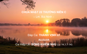 Chúa Nhật 22 Thường Niên C – Đáp Ca - Alleluia - Ca Hiệp Lễ – Lm. Bùi Ninh