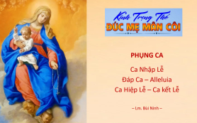 MẸ MÂN CÔI – Ca Nhập Lễ - Đáp Ca - Alleluia - Ca Hiệp Lễ - Ca Kết Lễ
