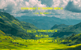 Chúa Nhật 32 Thường Niên C – Đáp Ca - Alleluia - Ca Hiệp Lễ – Lm. Bùi Ninh