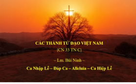 CN 33 TN C – Các Thánh TỬ ĐẠO VN – Nhập Lễ – Đáp Ca – Alleluia – Hiệp Lễ