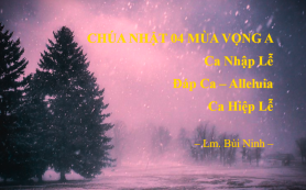 Chúa Nhật 04 Mùa VỌNG A – Ca Nhập Lễ – Đáp Ca – Alleluia – Ca Hiệp Lễ