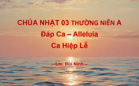 Chúa Nhật 03 Thường Niên A – Đáp Ca – Alleluia – Ca Hiệp Lễ