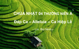 Chúa Nhật 04 Thường Niên A – Đáp Ca – Alleluia – Ca Hiệp Lễ
