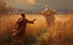 ƠN CHA THỨ THA  (Nguyện ca Mùa Chay) – Lm. Bùi Ninh