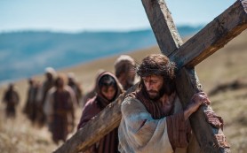 NĂM SỰ THƯƠNG (Mầu nhiệm Mân Côi) – Lm. Bùi Ninh