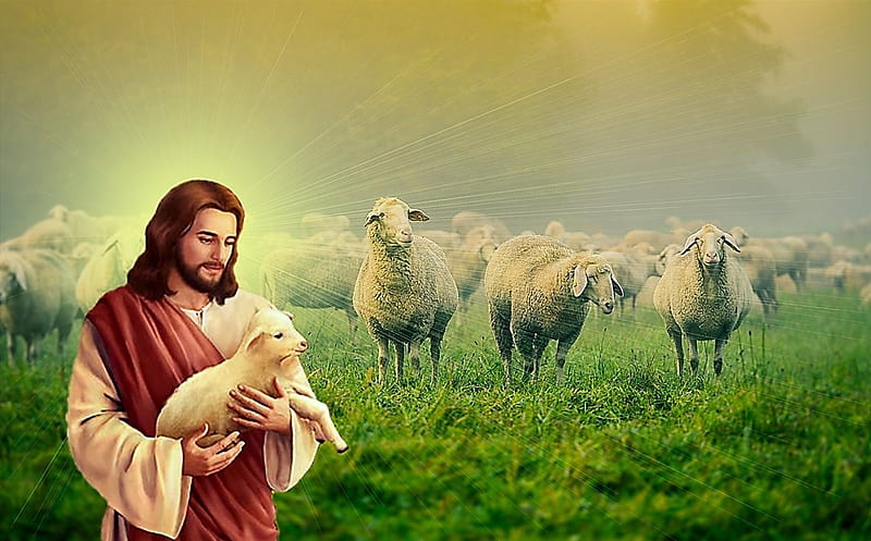 hd wallpaper good shepherd jesus christ jesus gospel god shepherd christ