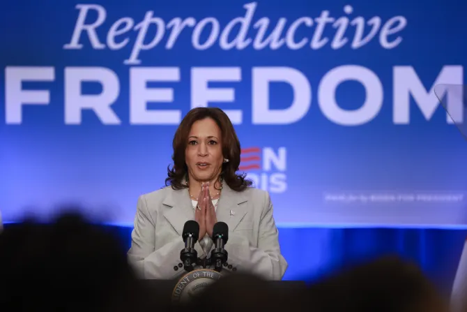 Những người ủng hộ Kamala Harris phát động...