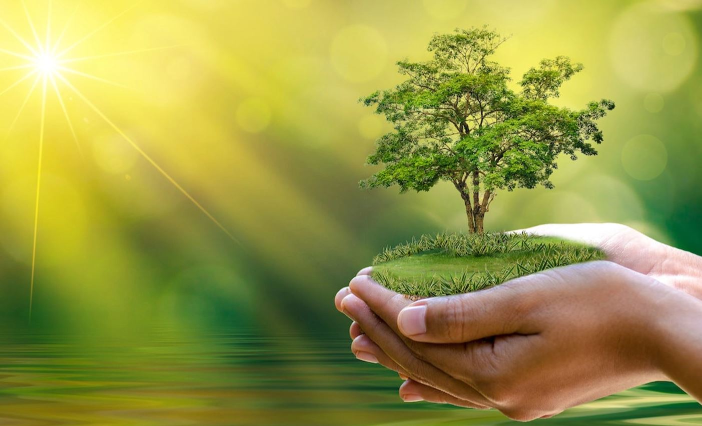 Nghĩ về một thế hệ Laudato Si’