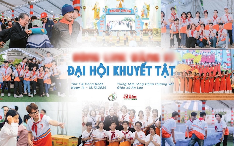 dhkt thai binh vn 24