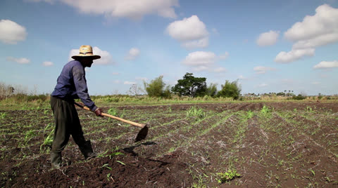 agriculture and men working fields footage 022780023 iconl