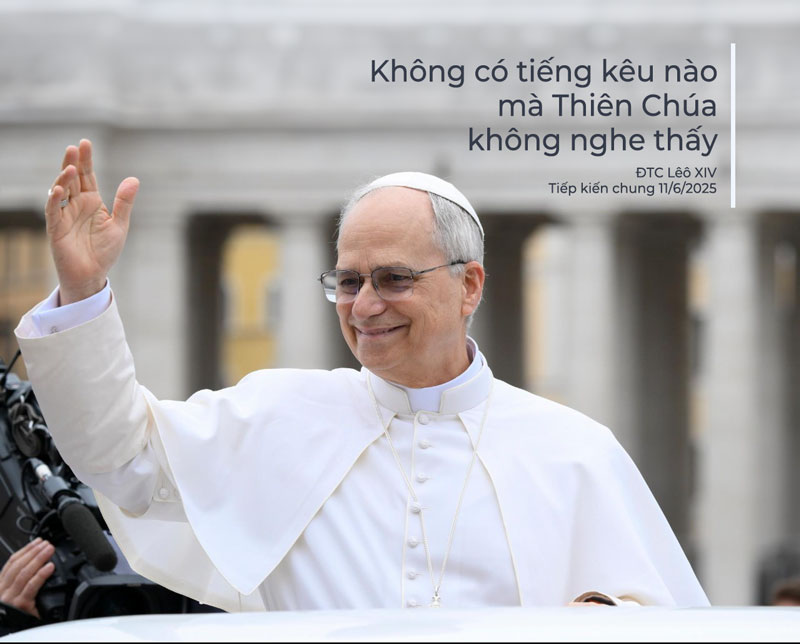 Bài giáo lý của ĐTC - Tiếp kiến chung 11/6/2025