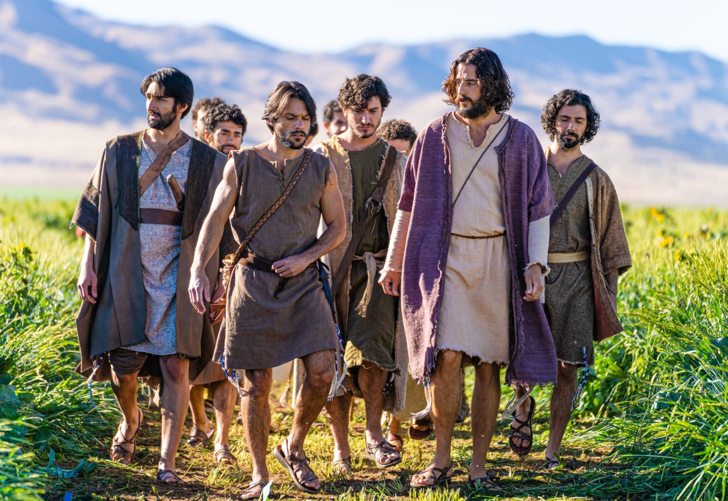 s2 stilljesus and his disciples scaled