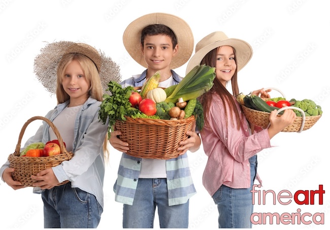 bumper harvest