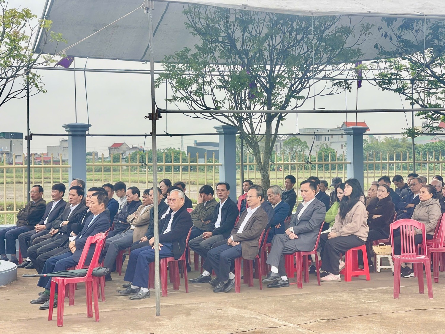 2025 11 02 cau hon 3