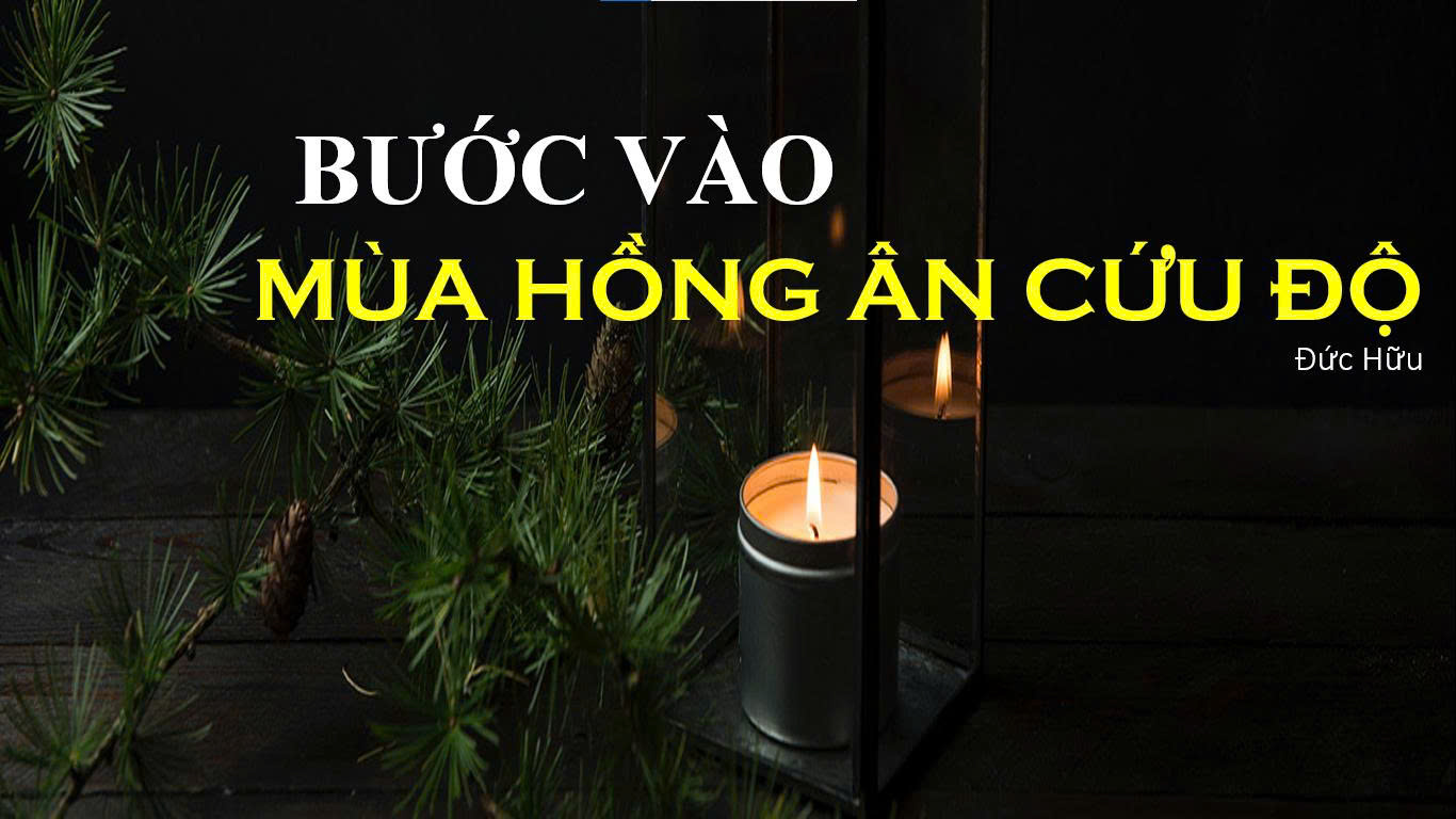 z7266433438805 38553d192d9f89483a0f519efa9ddaf3