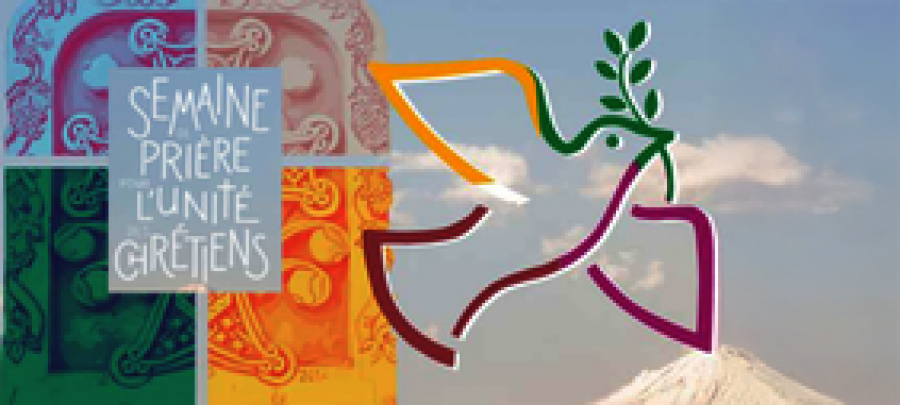 2026 01 18 tuan hiep nhat