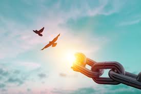 Truyện ngắn: Chữa lành